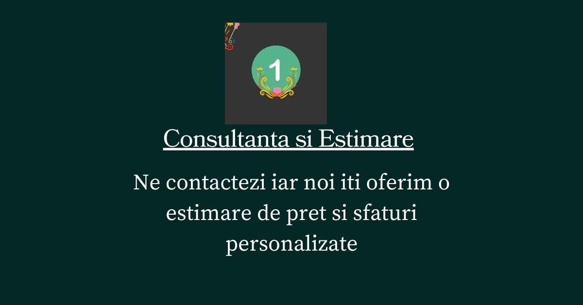 Consultanta si Estimare Preliminara 